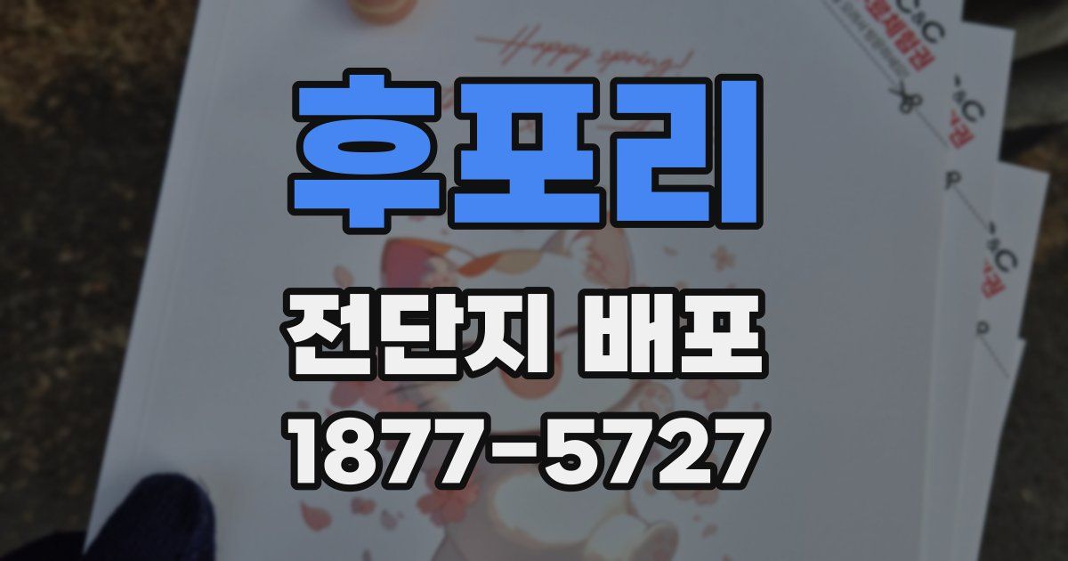 후포리 전단지 배포