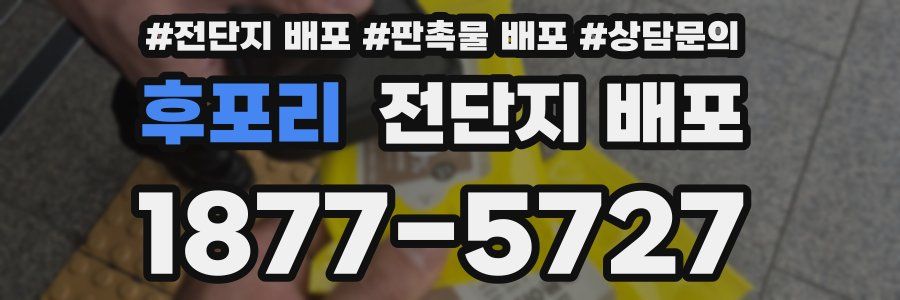 후포리 전단지 배포