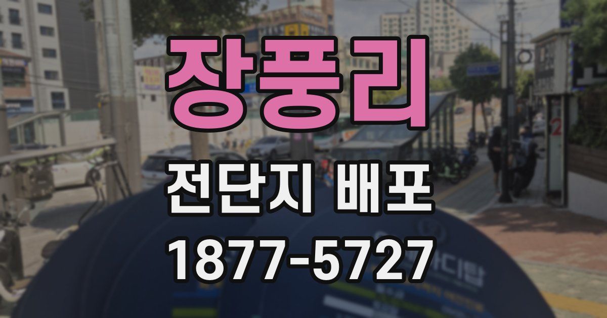 장풍리 전단지 배포