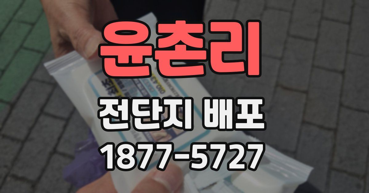 윤촌리 전단지 배포