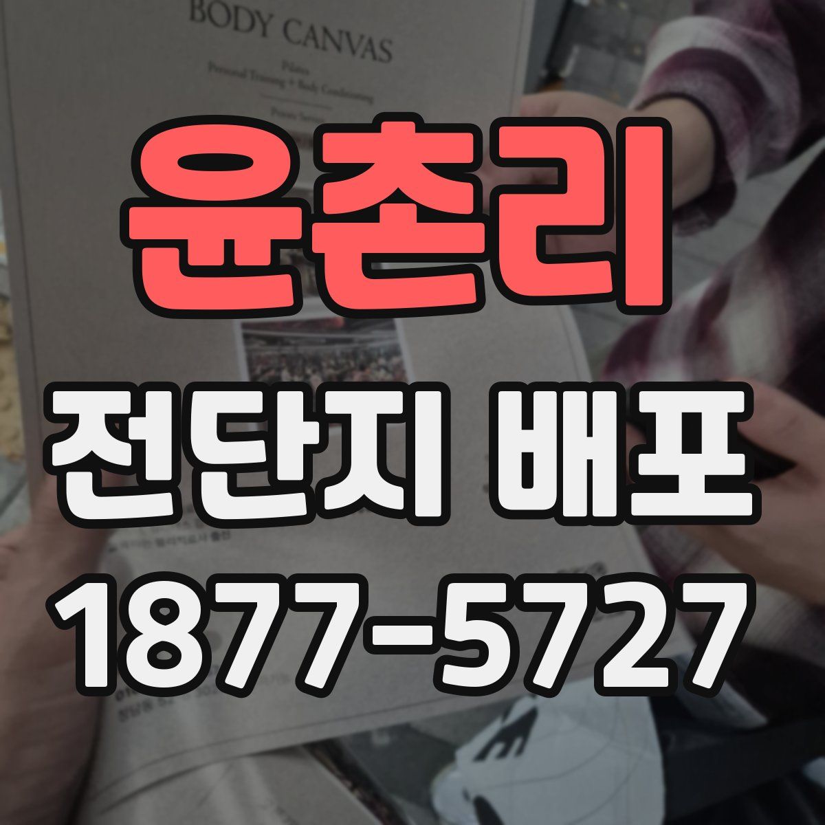 윤촌리 전단지 배포