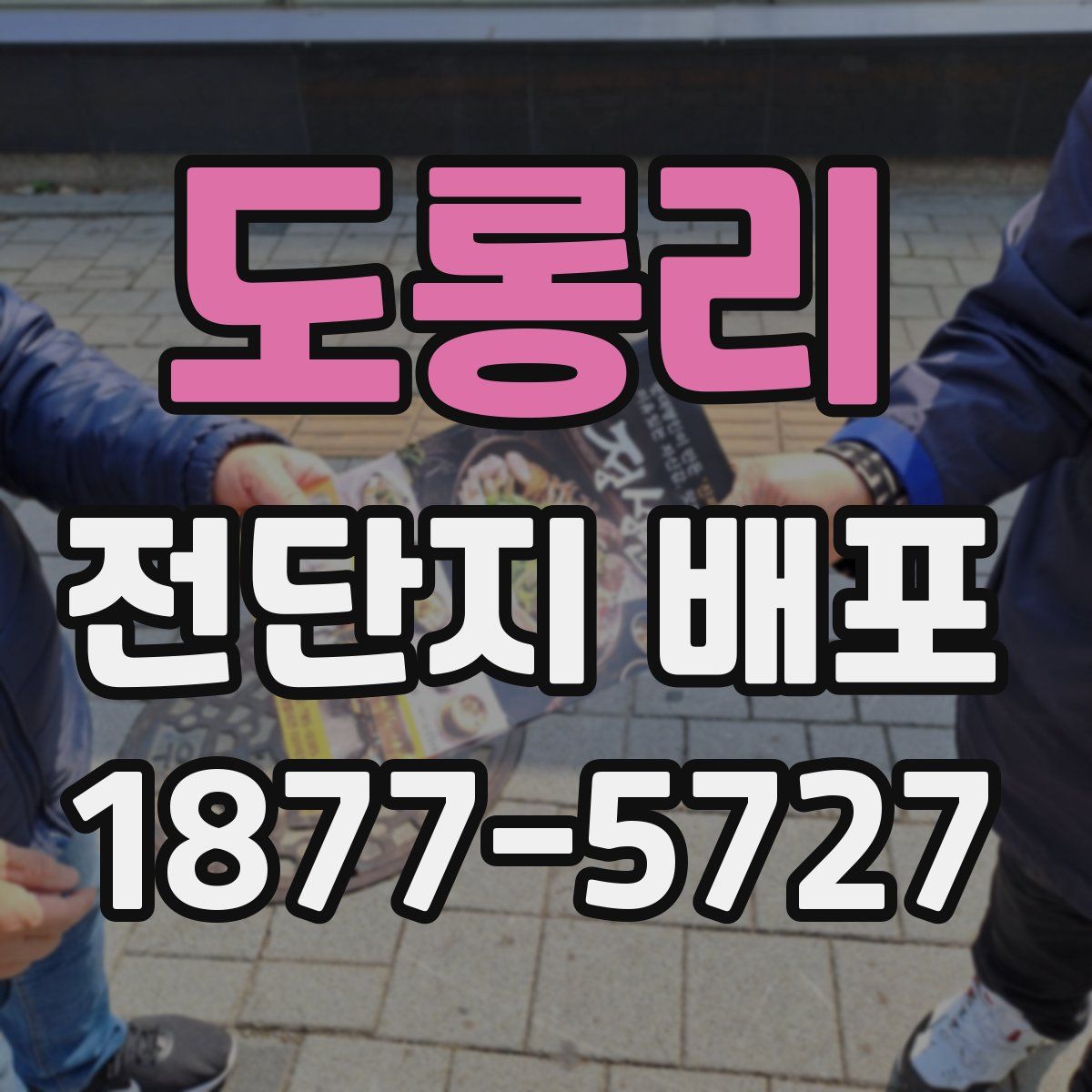 도롱리 전단지 배포
