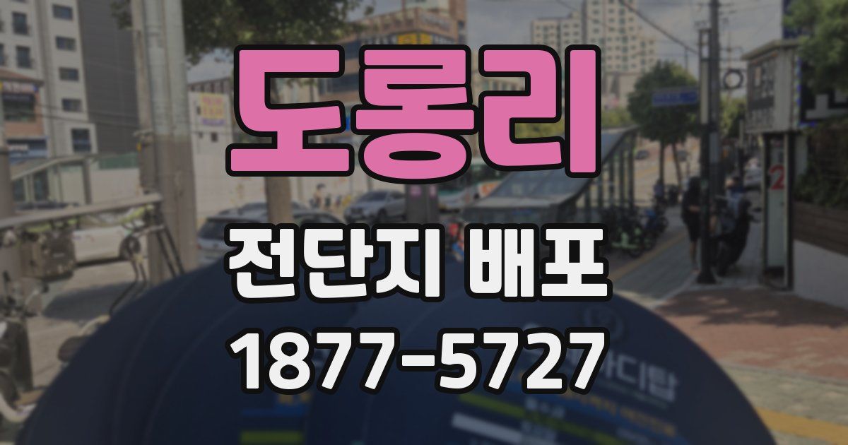 도롱리 전단지 배포