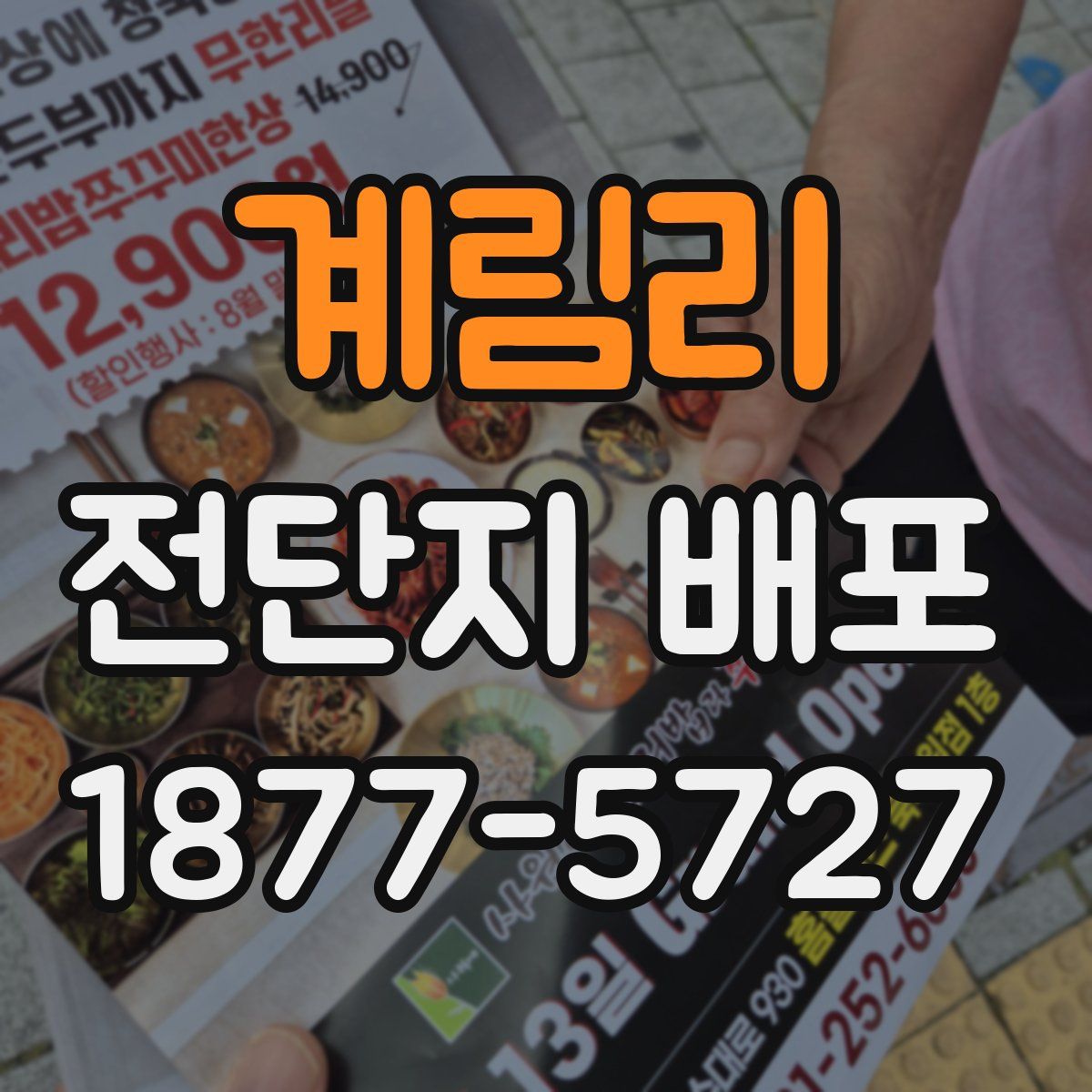 계림리 전단지 배포