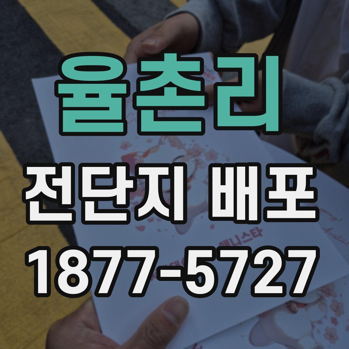 율촌리 전단지 배포