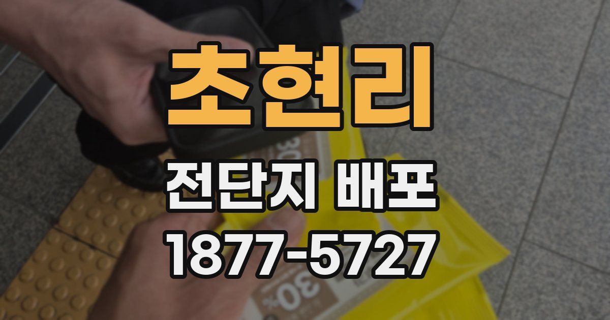 초현리 전단지 배포