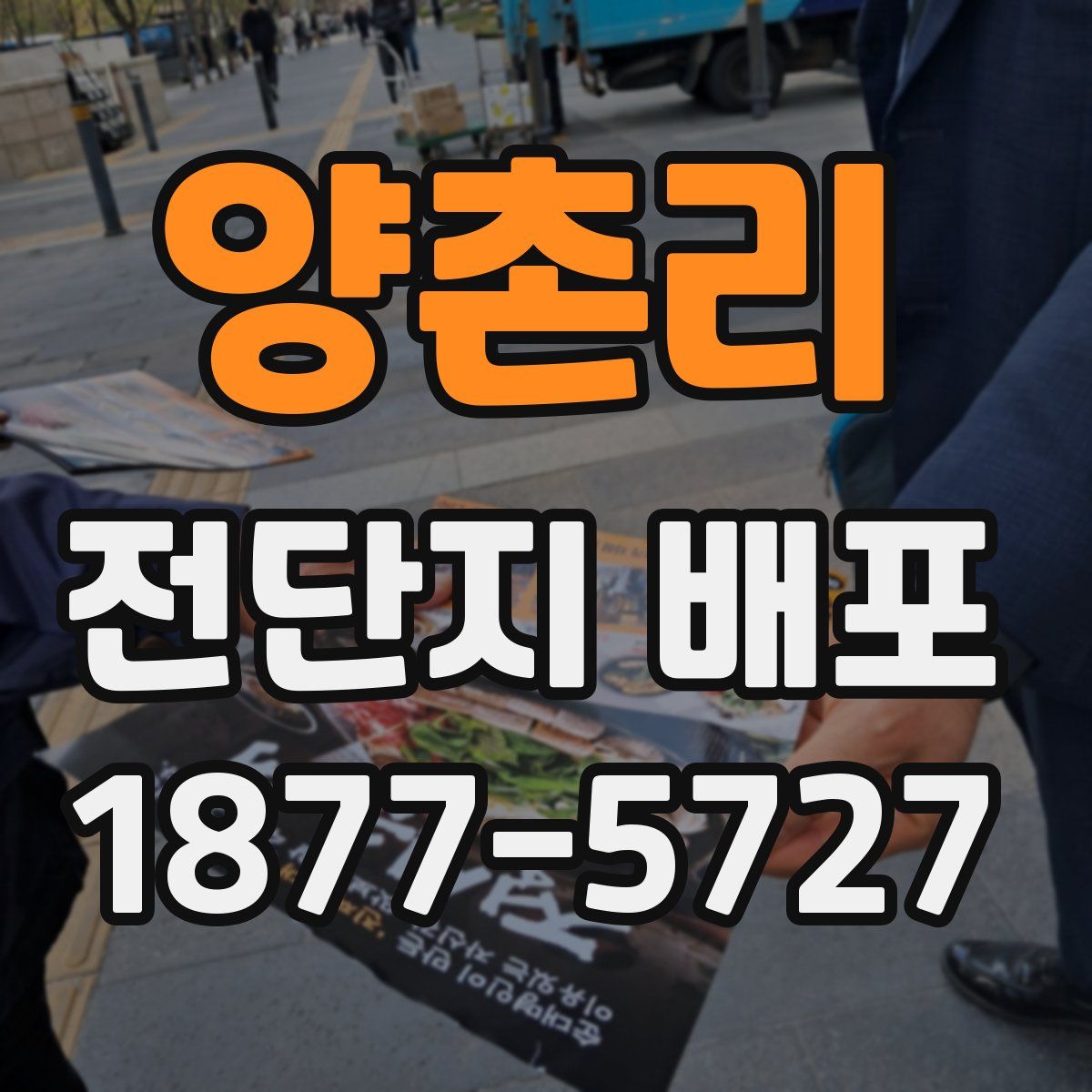 양촌리 전단지 배포