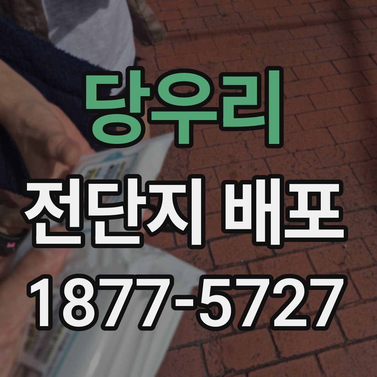 당우리 전단지 배포