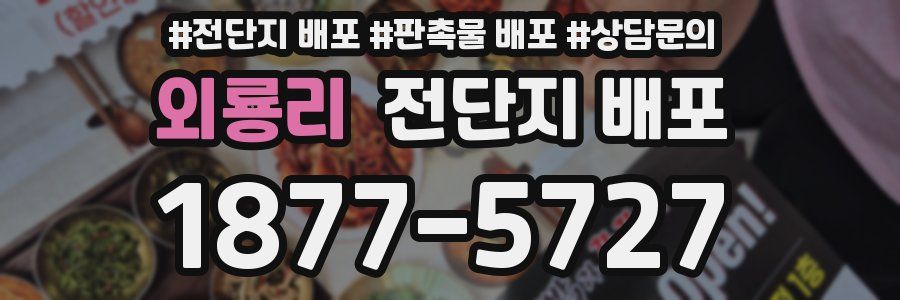 외룡리 전단지 배포