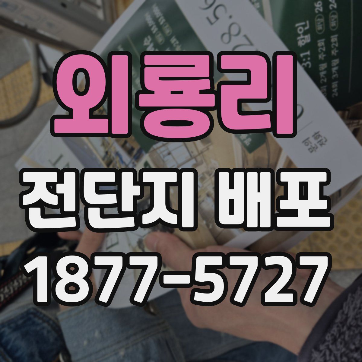 외룡리 전단지 배포