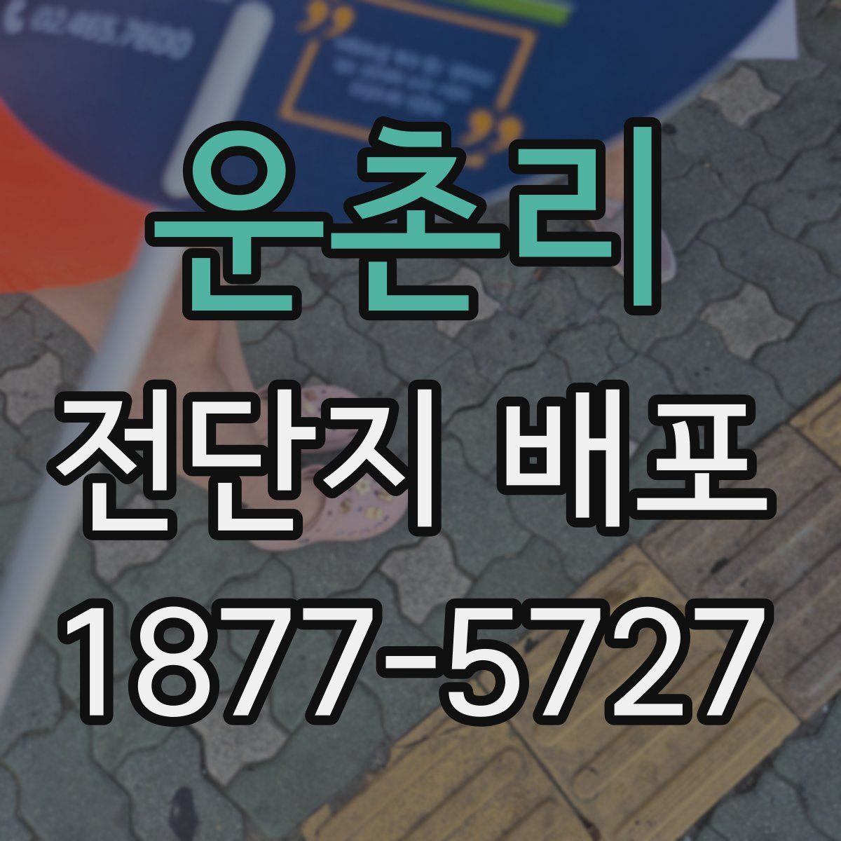 운촌리 전단지 배포