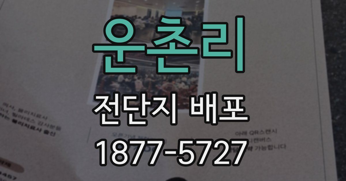 운촌리 전단지 배포
