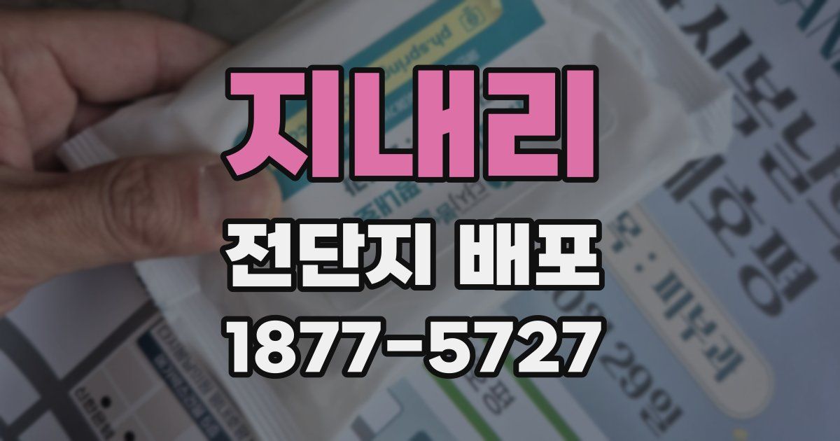 지내리 전단지 배포