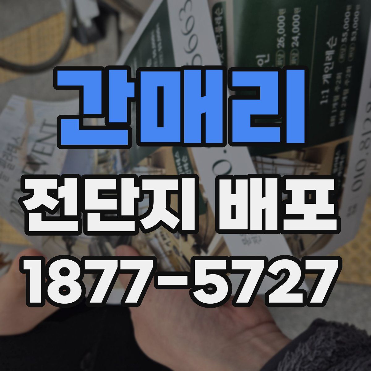간매리 전단지 배포