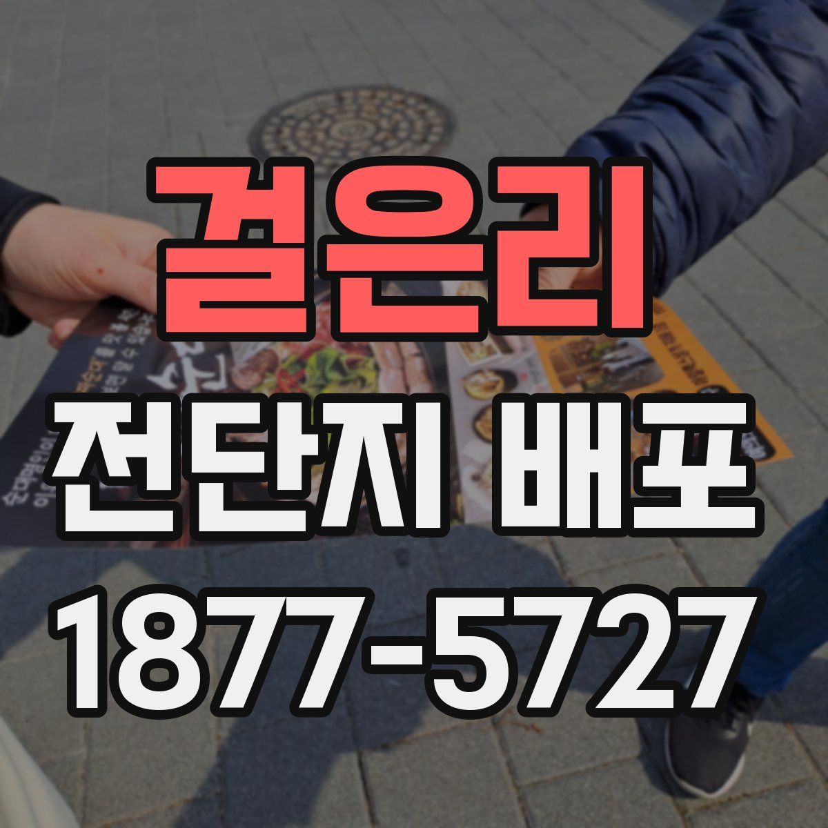 걸은리 전단지 배포
