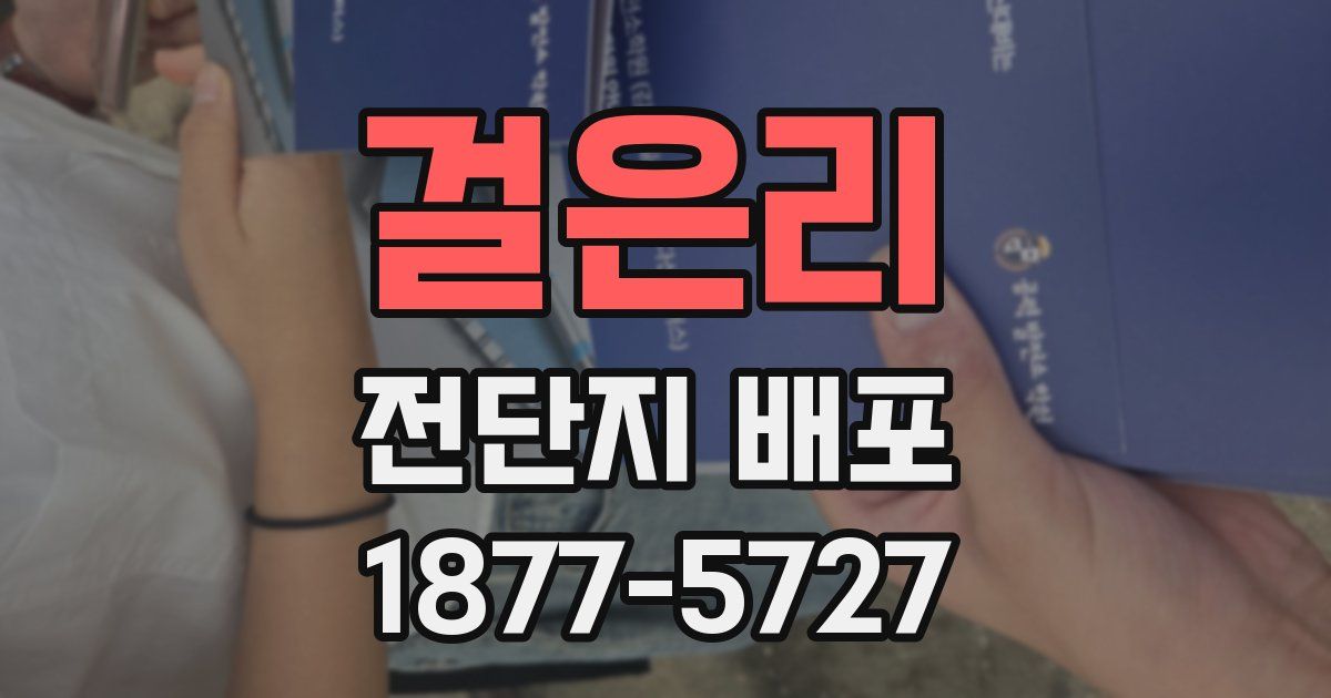 걸은리 전단지 배포