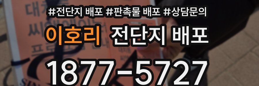 이호리 전단지 배포