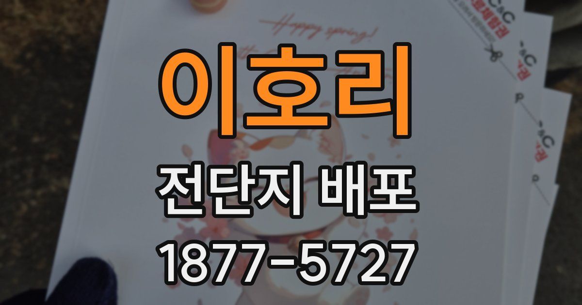 이호리 전단지 배포