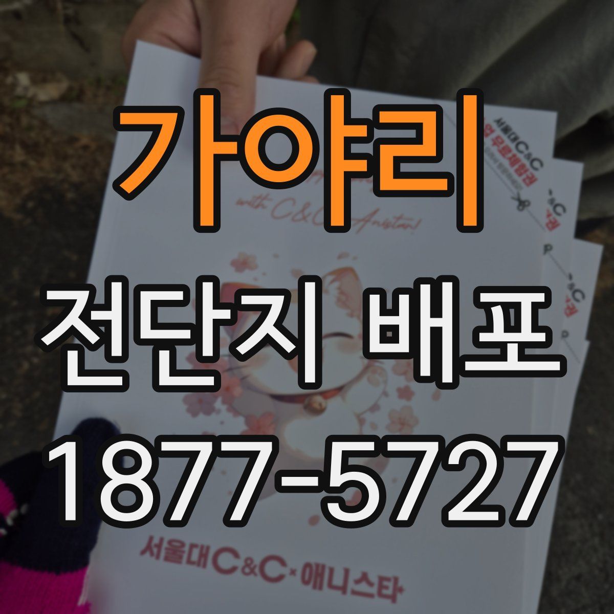 가야리 전단지 배포