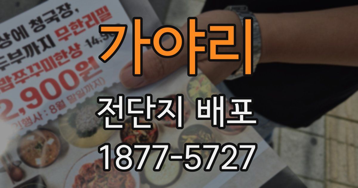 가야리 전단지 배포