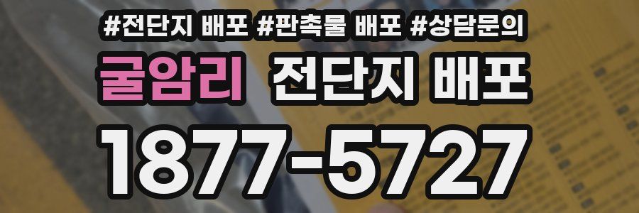 굴암리 전단지 배포
