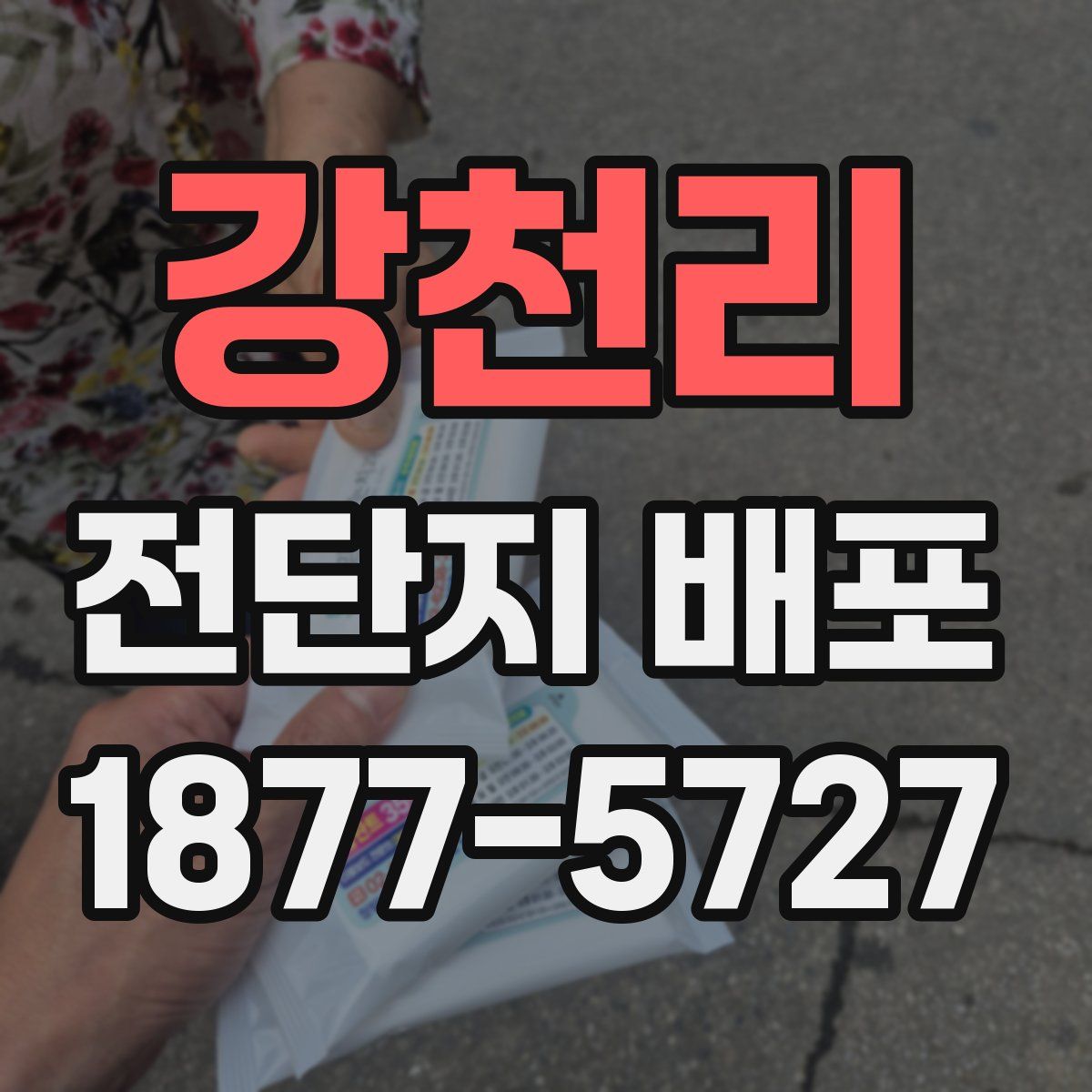 강천리 전단지 배포