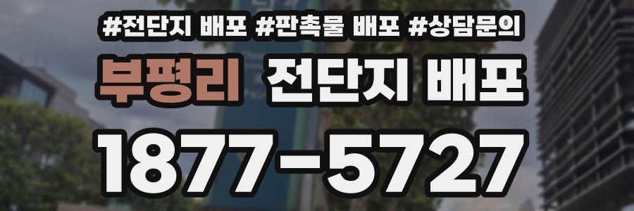 부평리 전단지 배포