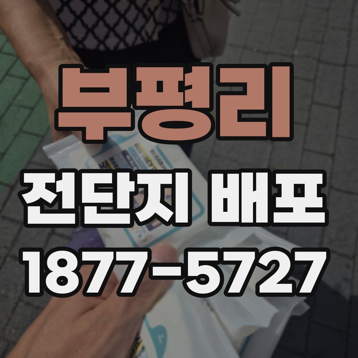 부평리 전단지 배포