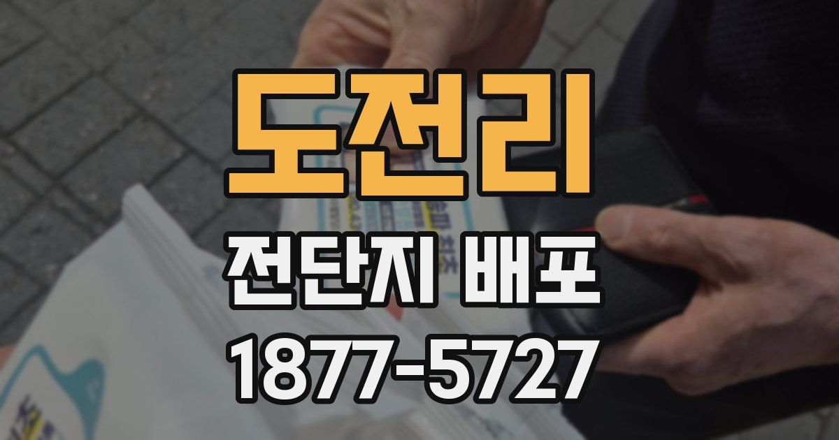도전리 전단지 배포