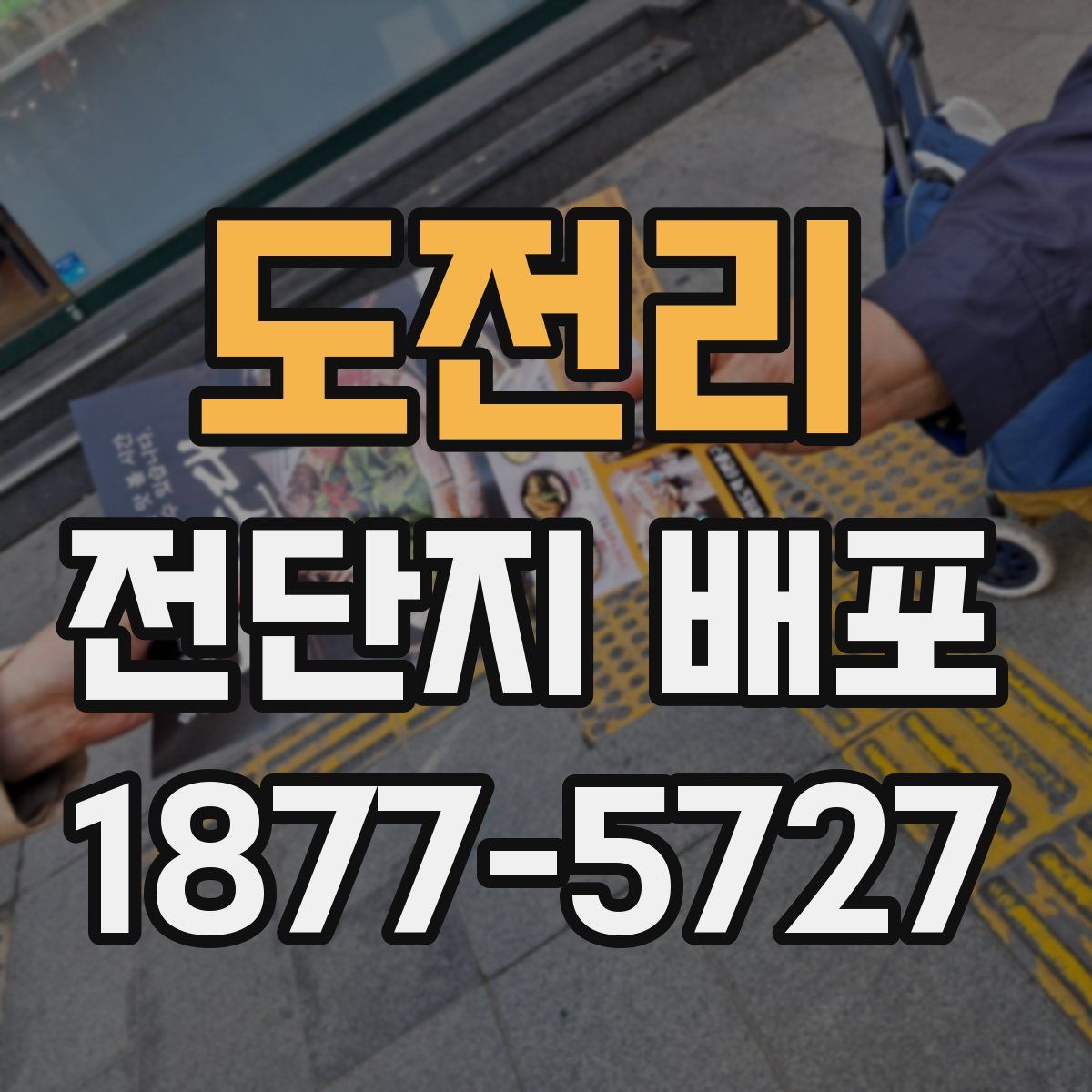 도전리 전단지 배포