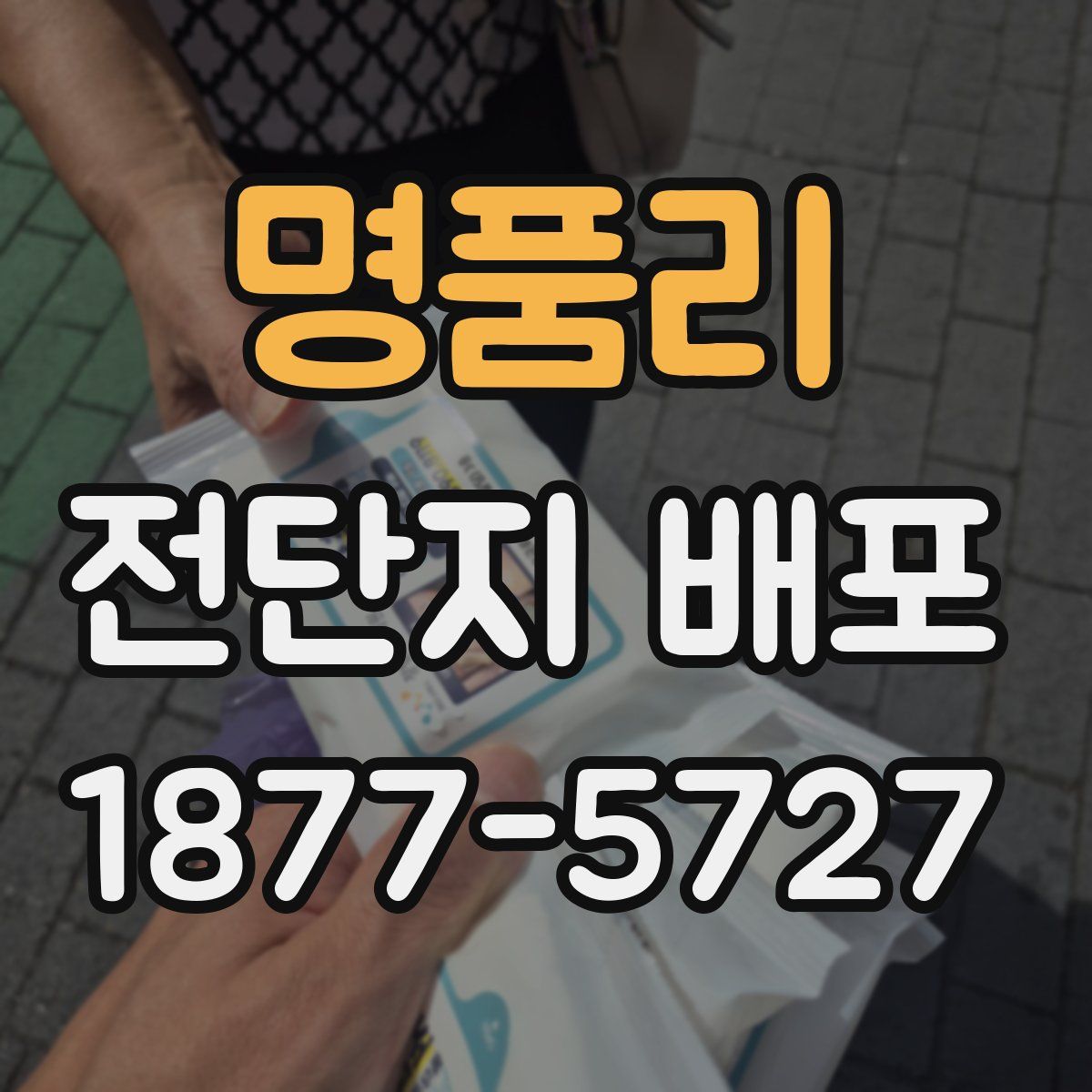 명품리 전단지 배포