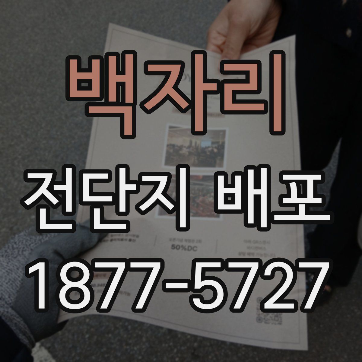백자리 전단지 배포