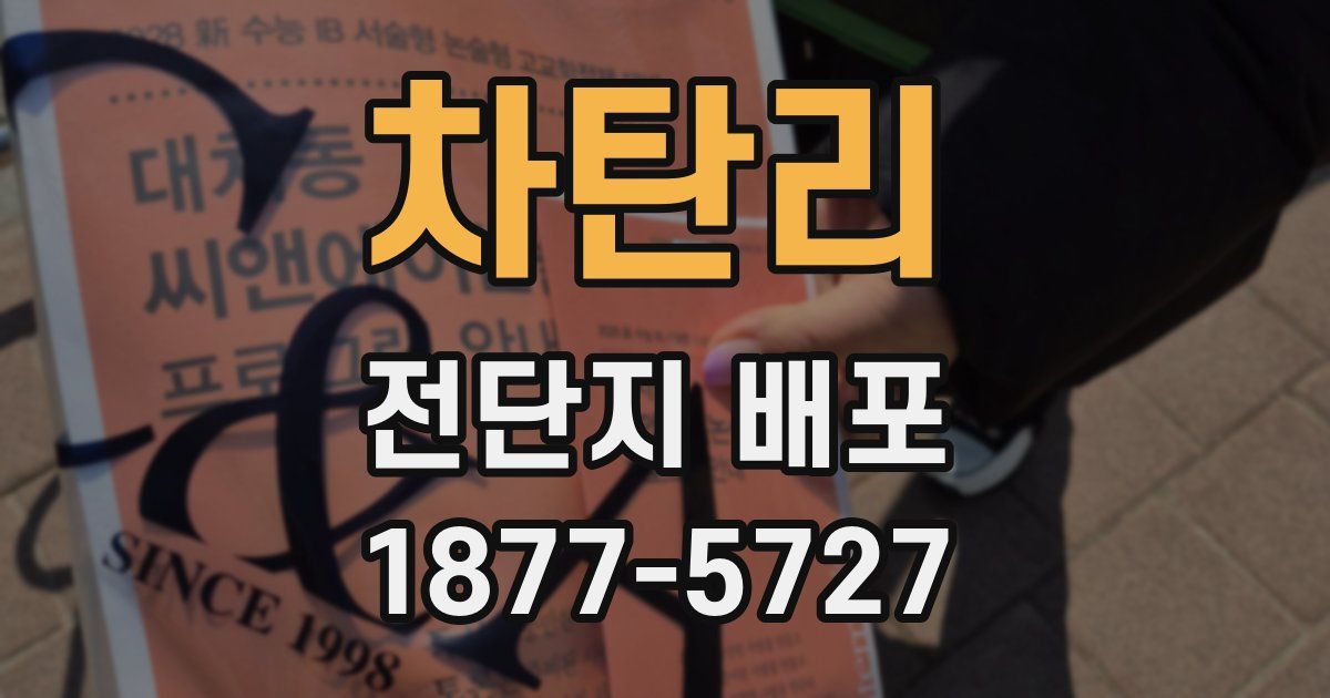 차탄리 전단지 배포