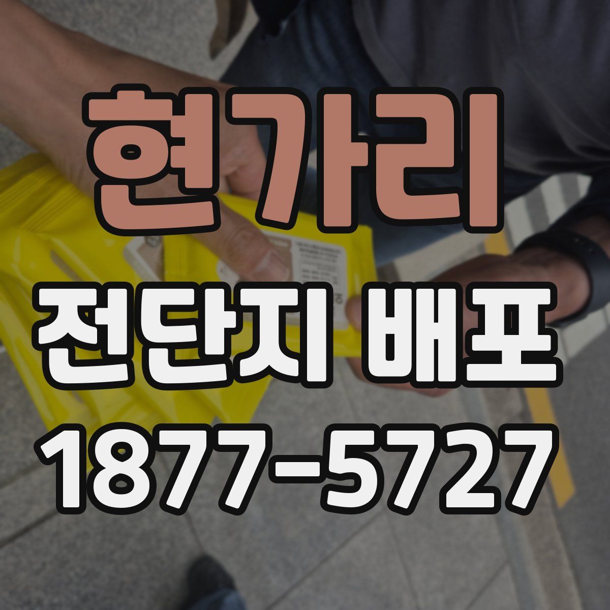 현가리 전단지 배포