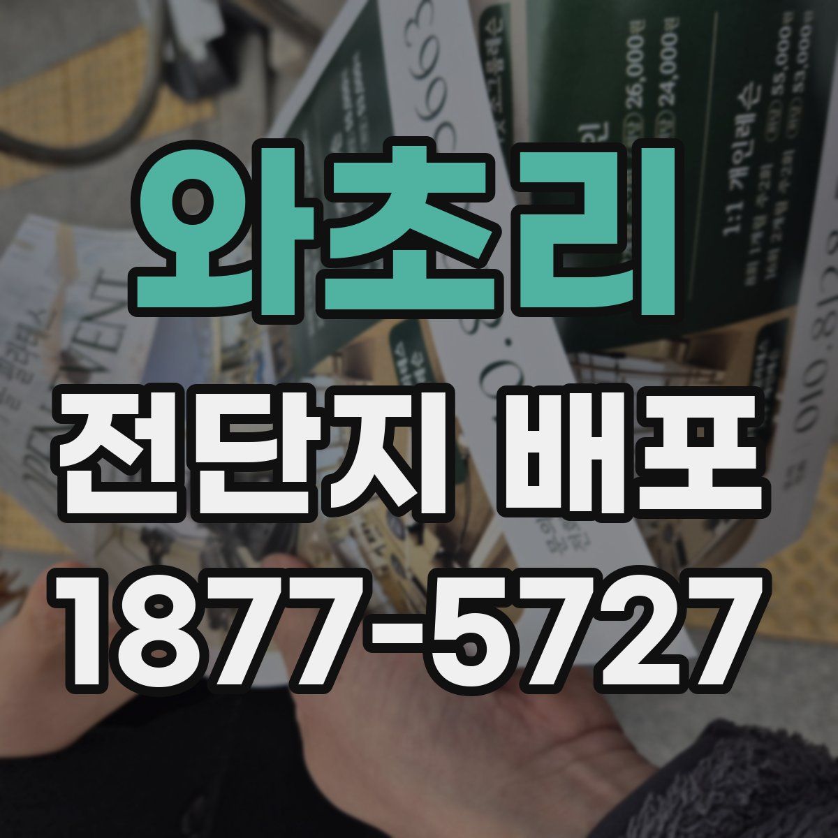 와초리 전단지 배포