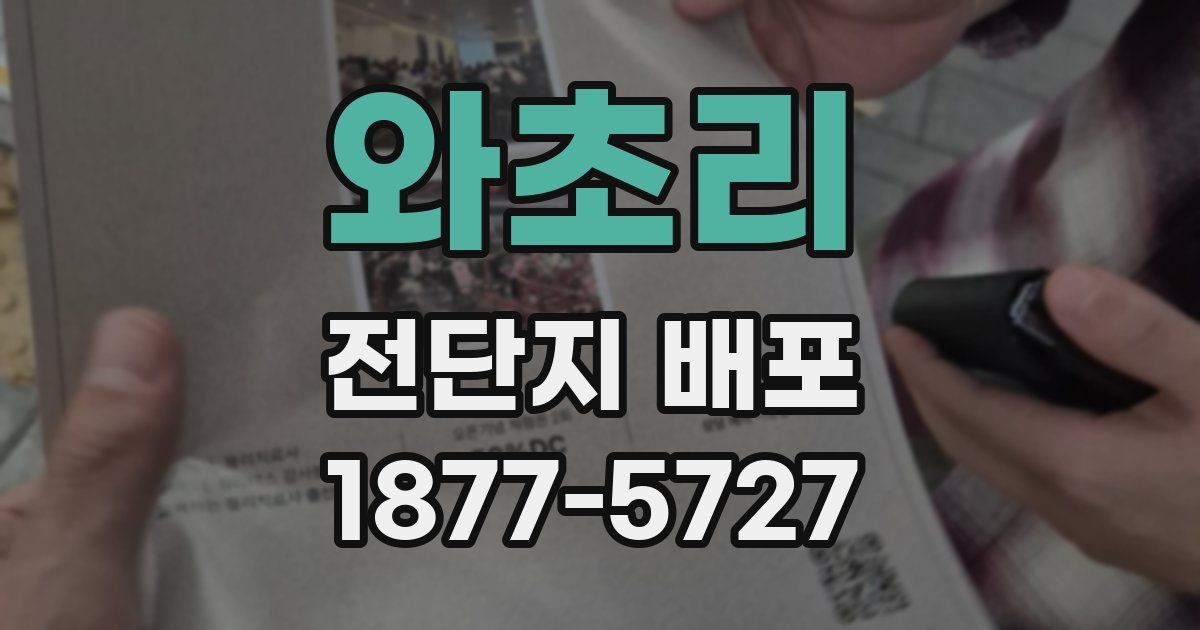 와초리 전단지 배포