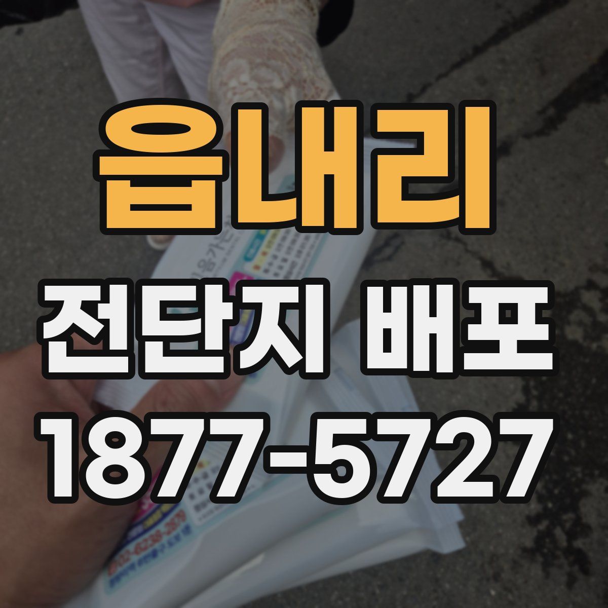 읍내리 전단지 배포