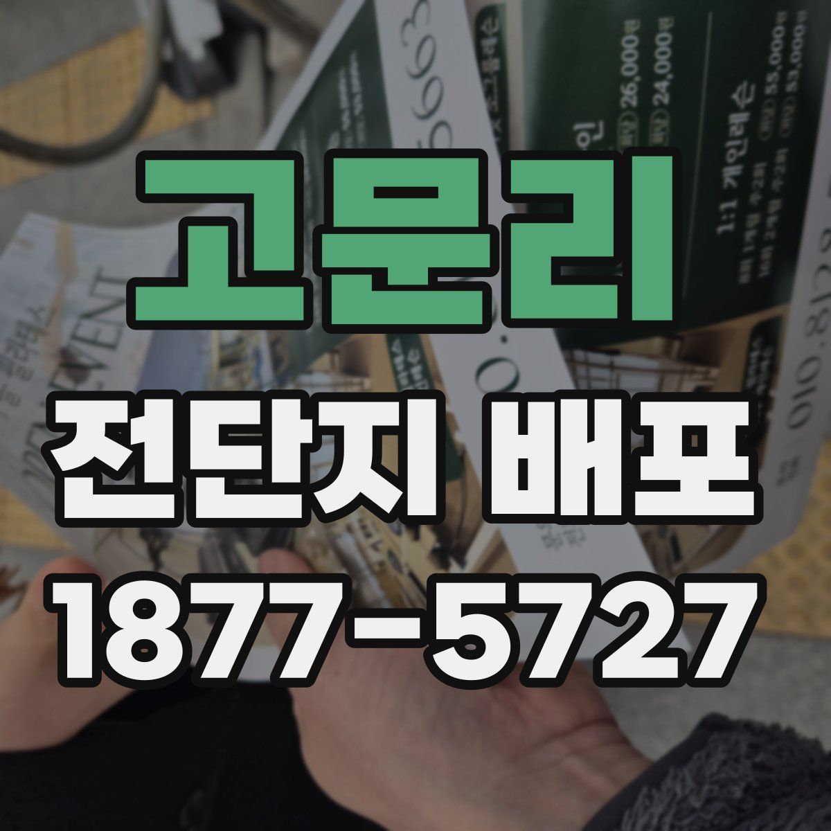 고문리 전단지 배포