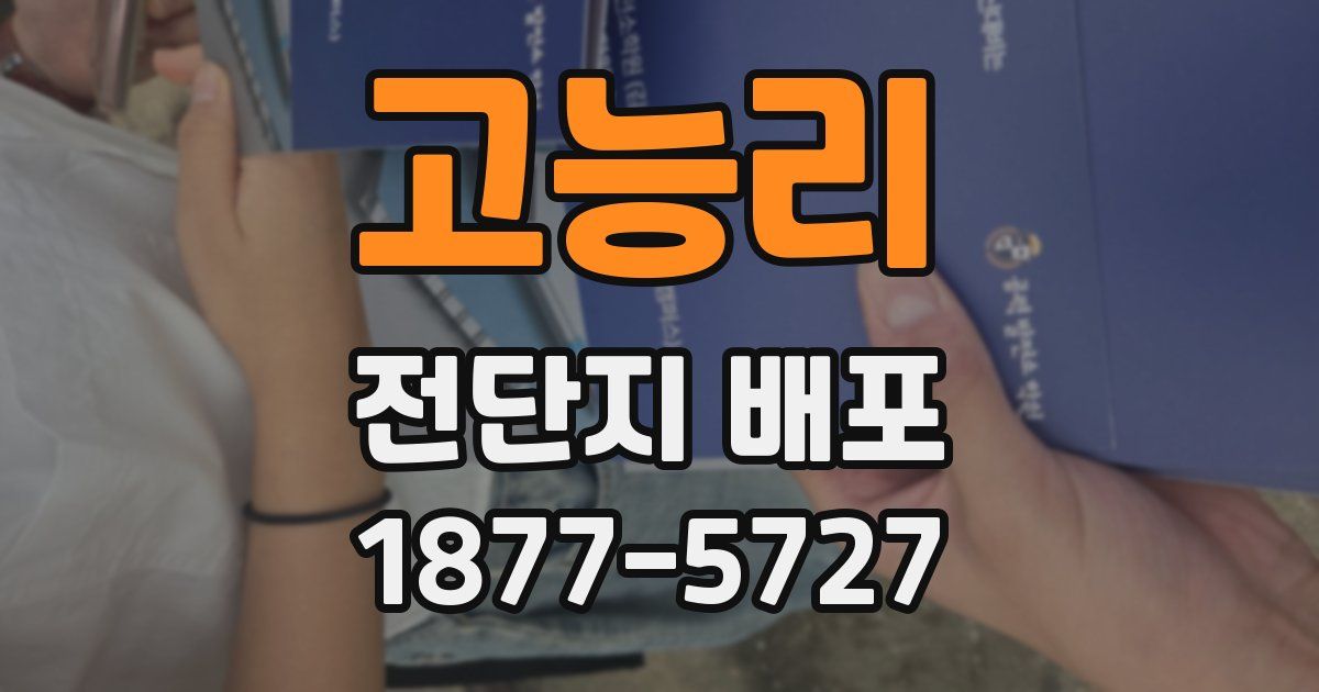 고능리 전단지 배포