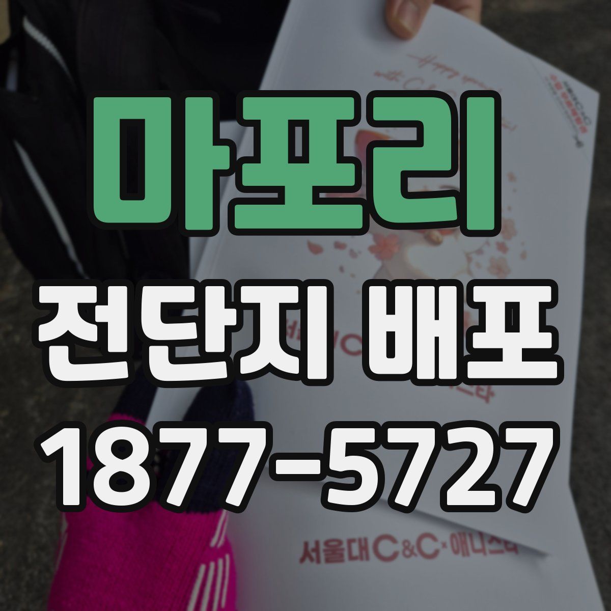 마포리 전단지 배포