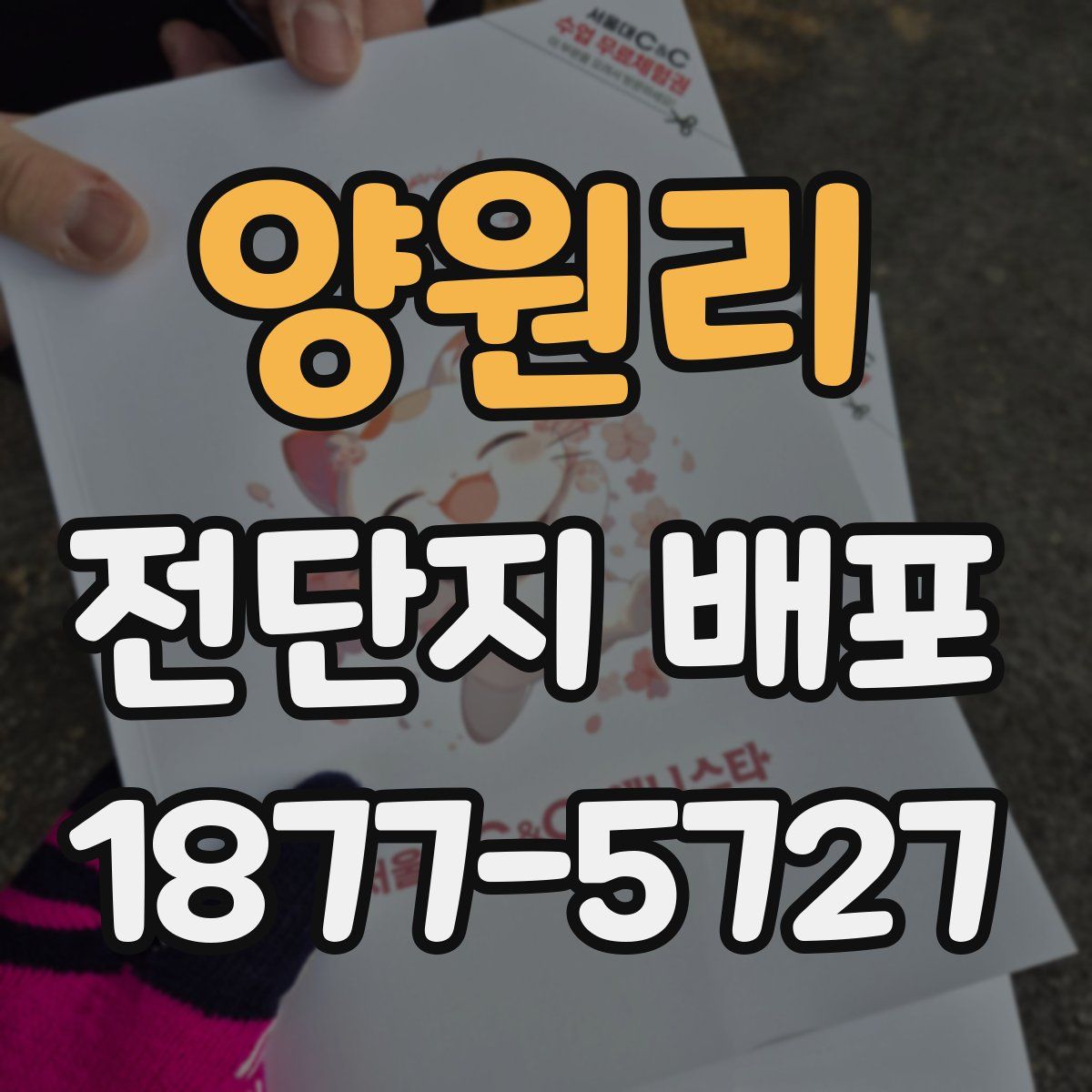 양원리 전단지 배포