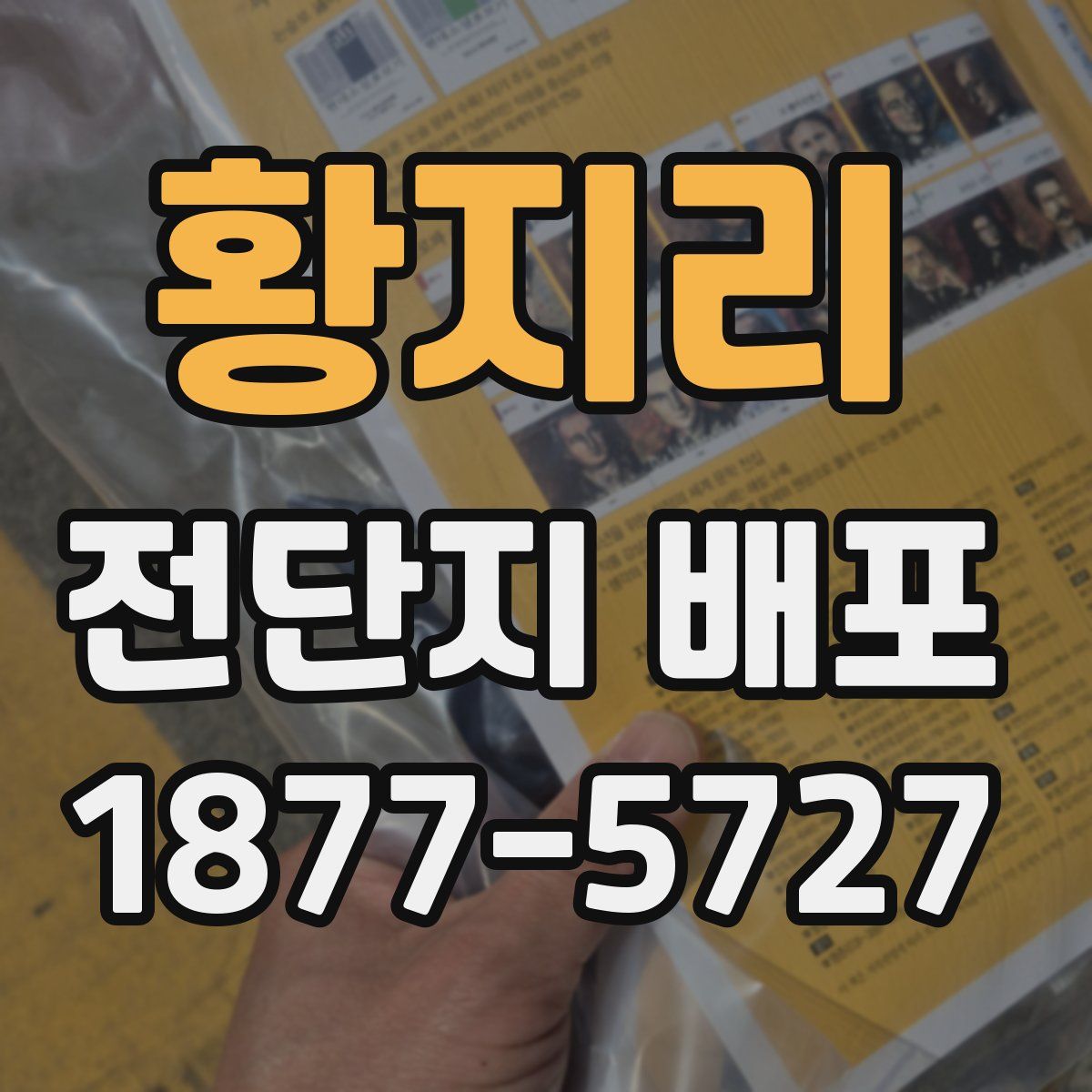 황지리 전단지 배포
