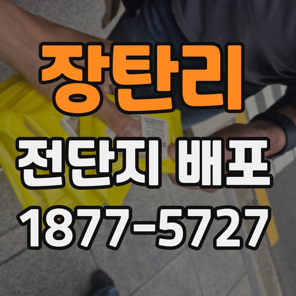장탄리 전단지 배포