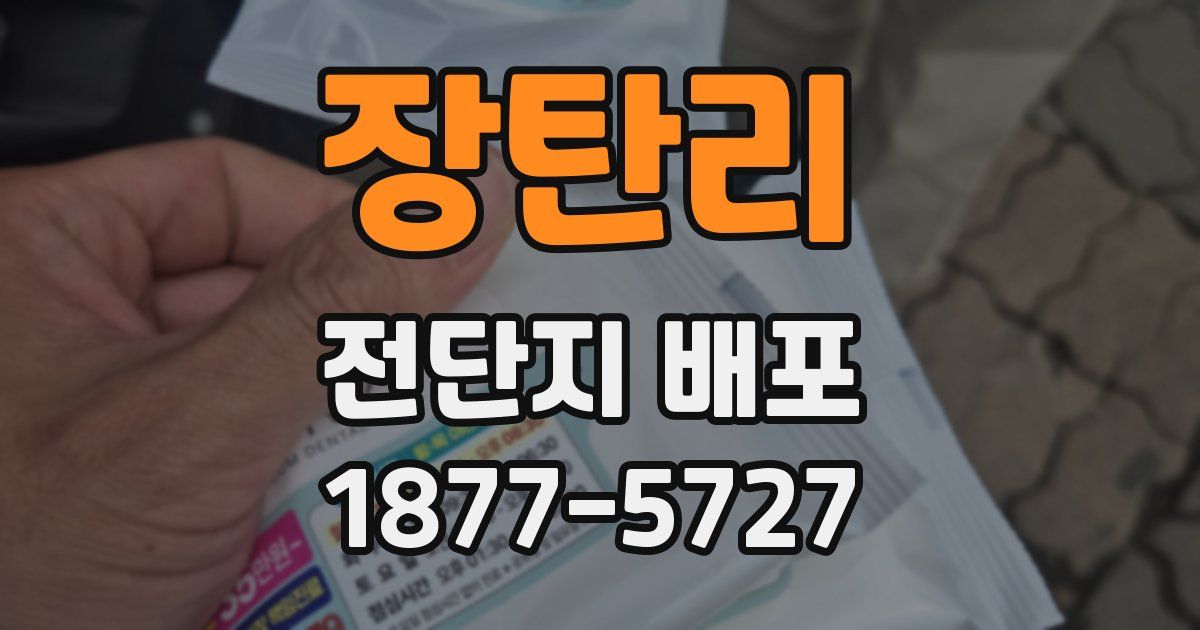 장탄리 전단지 배포