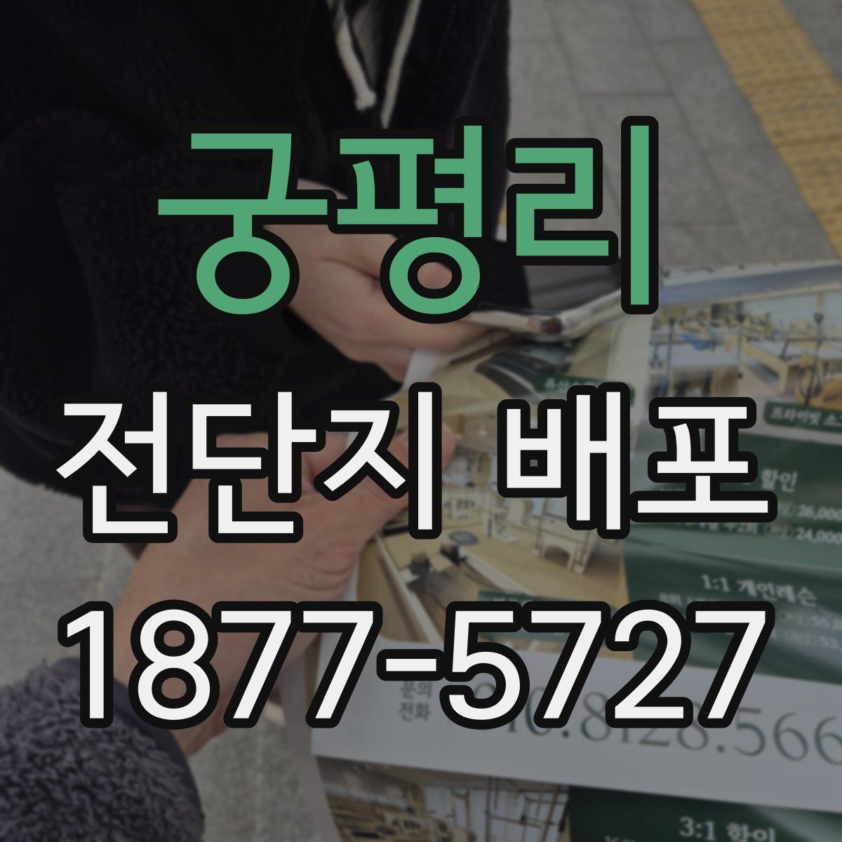 궁평리 전단지 배포