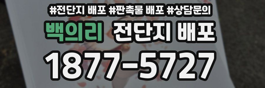 백의리 전단지 배포
