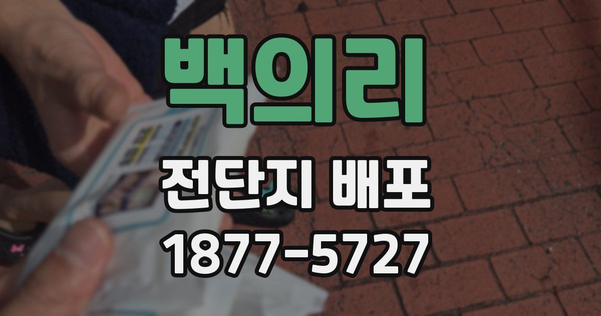 백의리 전단지 배포