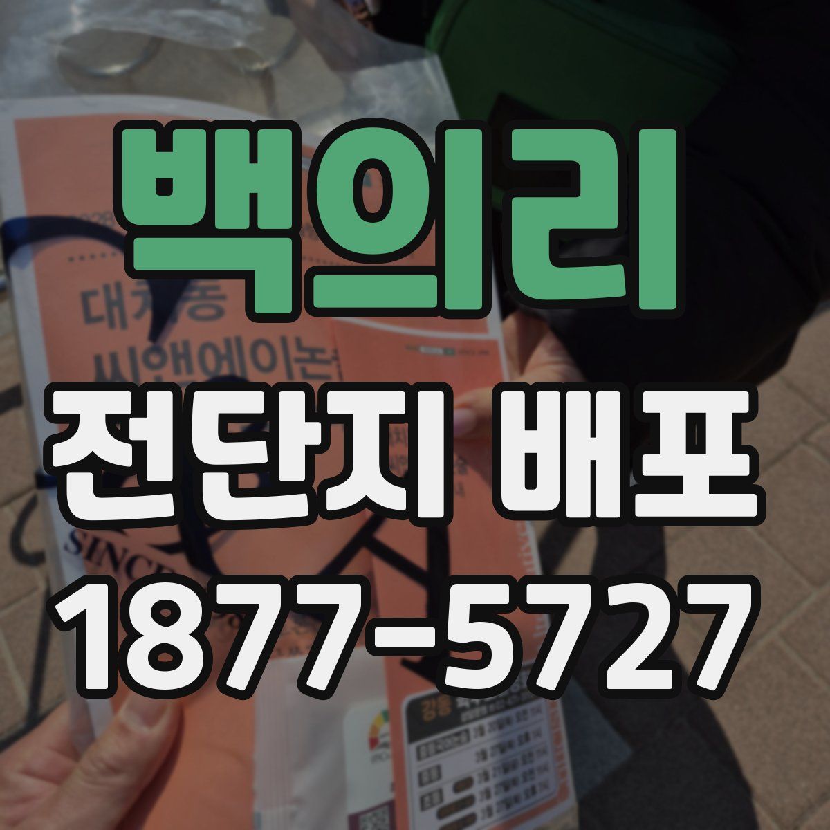 백의리 전단지 배포