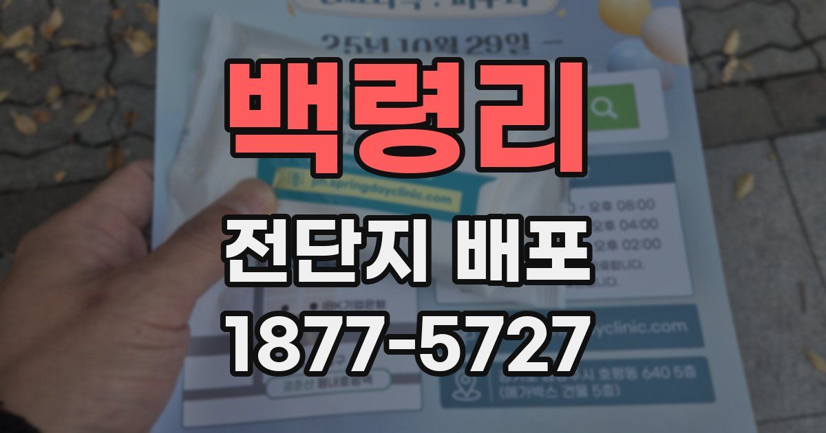 백령리 전단지 배포