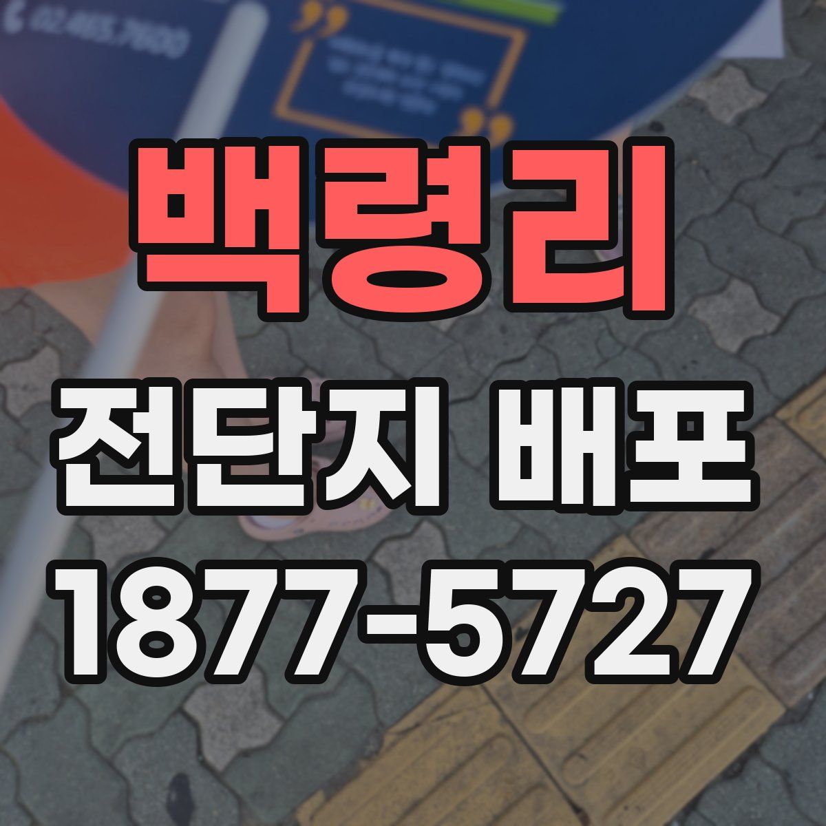 백령리 전단지 배포
